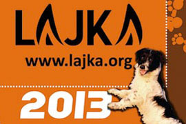 Slika